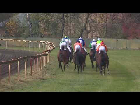 Dostihy Lysá nad Labem 11. 11. 2023 - 1. dostih - Cena společnosti Tipsport