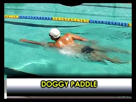 Doggy Paddle