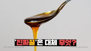 '진짜꿀'!! 확실히 알아 봅시다. 진짜꿀 논란 종결