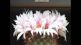 "Heart Attack Again" by Step Rockets