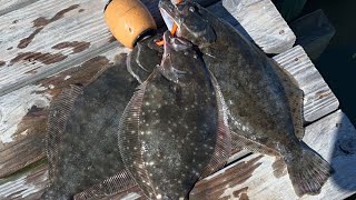 FLOUNDER RUN CLOSED( Finished strong the last day before the run closed)#galvestonfishing