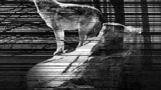 Satyricon - Walk the Path of Sorrow