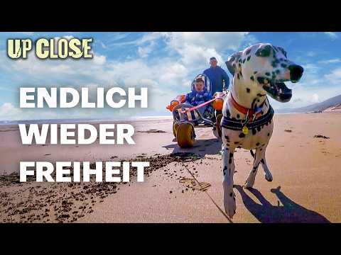 Unheilbar krank und doch frei dank dieser Hündin