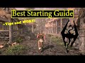 Skyrim - Starting Guide + Tips and Tricks
