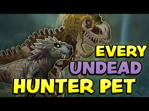 Every Undead Hunter Pet in WoW (How to Find + Tame Them All)