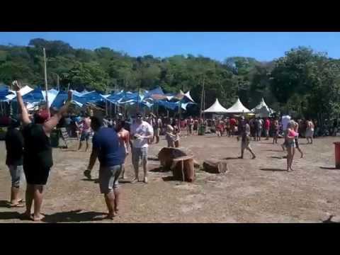 Ecologic 10 anos - Panorama