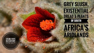 Grey Slush, Existential Despair &amp; Arid Land Plants of South Africa