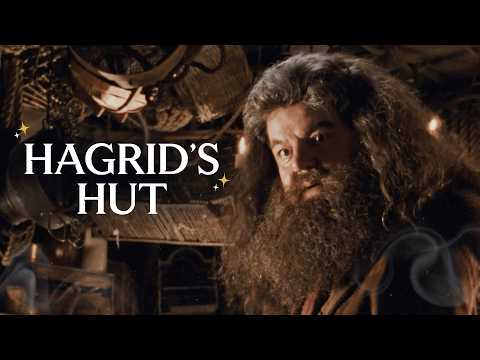 Every Hagrid's Hut Scene | Compilation | Harry Potter