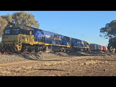 6PM6 PN up "Linfox Express #2" (NRs 73 & 5), Perth to Melbourne, 1625, 12/5/25, Horsham VIC