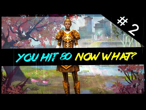 Guild Wars 2 Ultimate Beginners Survival Guide #2 - So You Hit Level 80 Now What?