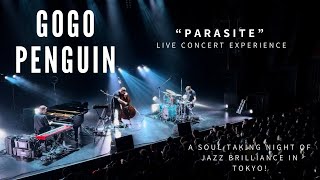 Gogo Penguin - Parasite | Live Concert Spectacular in Tokyo, Japan #gogopenguin #concerts
