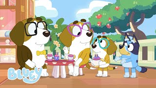 Tea Party with Bluey | BRAND NEW ORIGINAL | Bluey