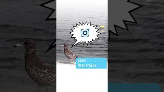 Download lagu Tracking Objects with KineMaster 7.7 mp3