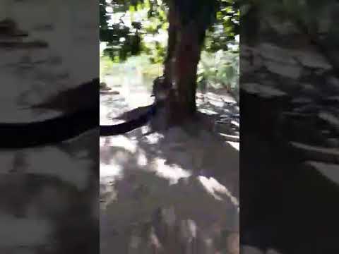 Sr.Louro "Estação Floriano" (Jussara-Go) Pátria Sertaneja