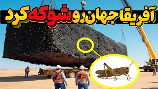 آفریقا میلیاردها ملخ را در بیابان کاشت؛ زندگی میلیون ها نفر عوض شد!