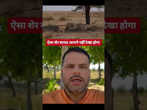 💥😱 दोपहर की तेज धूप मे शेर पेड़ के नीचे विश्राम कर रहा था, तभी एक हिरण का बच्चा शेर के पास आकर.....