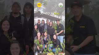 ¡Un aplauso a @dhl_globalforwarding! 