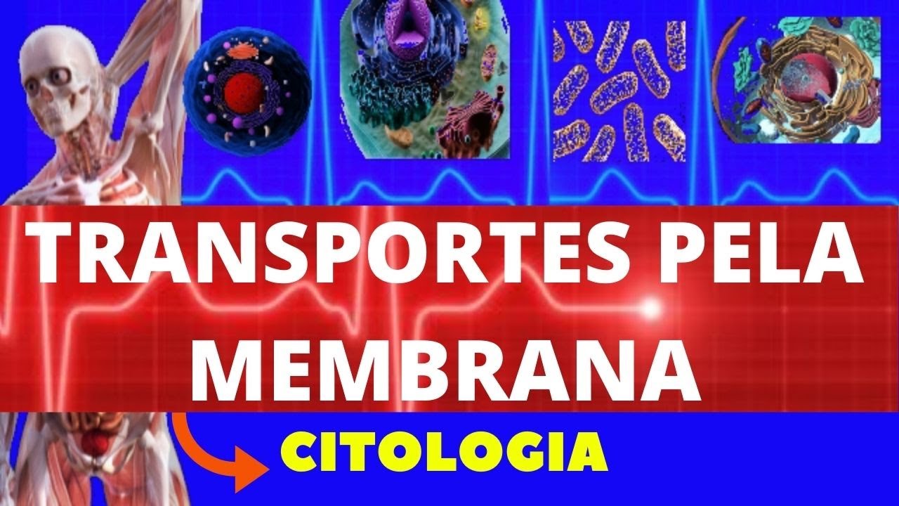 TRANSPORTE ATRAVÉS DA MEMBRANA PLASMÁTICA - CITOLOGIA - ENSINO SUPERIOR - MEMBRANA PLASMÁTICA