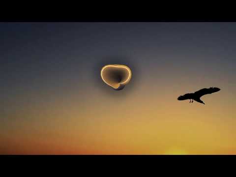 REAL GEIZT - die schwärze des lochs