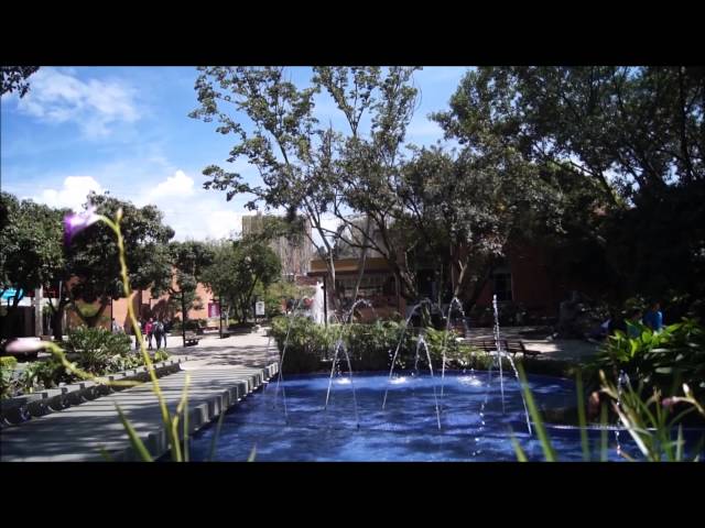University of Medellín video #2