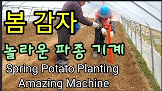 봄 감자 놀라운 파종기계 Spring Potato Planting Amazing Machine