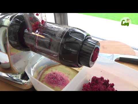 Omega Juicer 8228 und Rhino byZoo - verschiedene Zutaten entsaften (Teil 2/2)