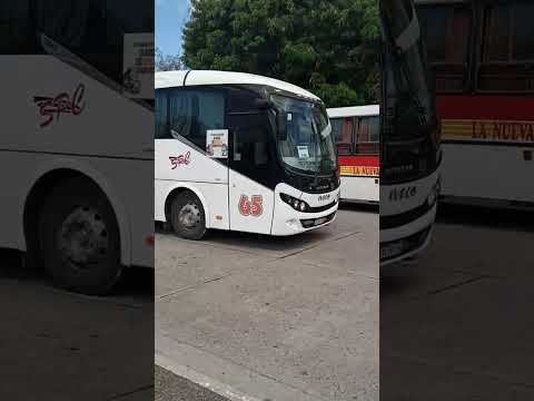 Empresa San Pedro de Colalao coche 65,"El Nuevo", Tucumán.