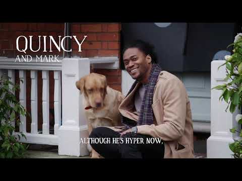 Butcher's Food for Dogs TV Advert - Behind the Scenes - Mark and Quincy