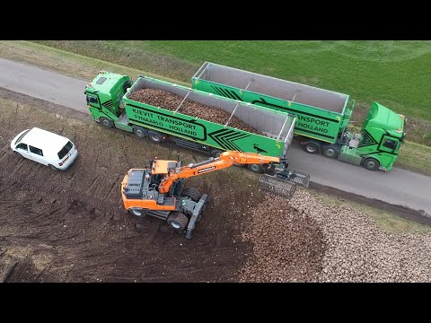 Loading sugar beets