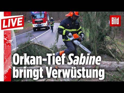 🔴 Wir bringen dich auf Stand, was Orkan-Tief Sabine in Deutschland anrichtete | BILD Live