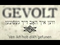 Gevolt - Sheyn Vi Di Levone (Lyrics video) 