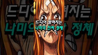 원피스 드디어 밝혀지는 나미의 진짜 정체