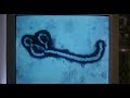 Outbreak - Motaba Virus (HD)
