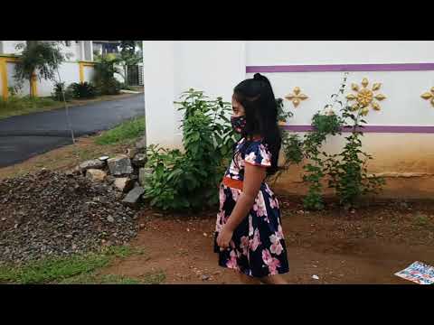 Alan Walker By S.Hanshitha