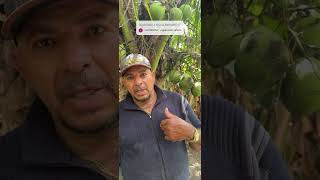 Respondendo comentários