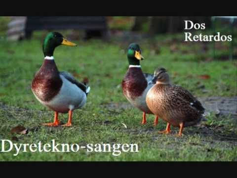 Dyretekno-sangen - Dos Retardos