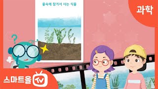 [4학년ㅣ과학] 강과 연못에서 사는 식물 분류하기ㅣ 4학년 2학기 1. 식물의 생활 (2)