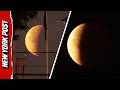 Wildest Videos From Rare Blood Moon 2026