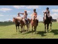 Trekking At Kate S Riding Centre