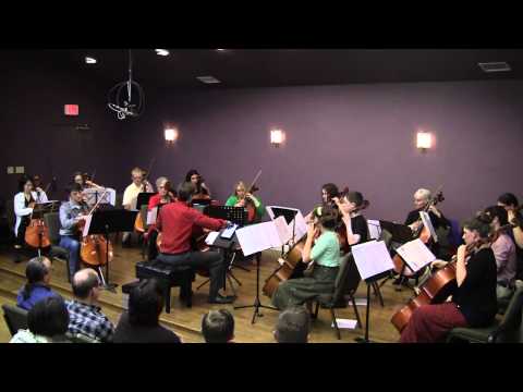 Austin Cello Choir Fall 2014 Performance Dvořák Symphony 8 9
