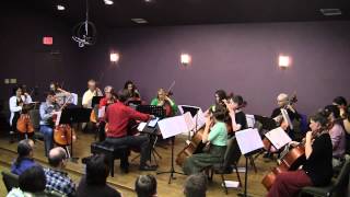 Austin Cello Choir Fall 2014 Performance Dvořák Symphony 8 9