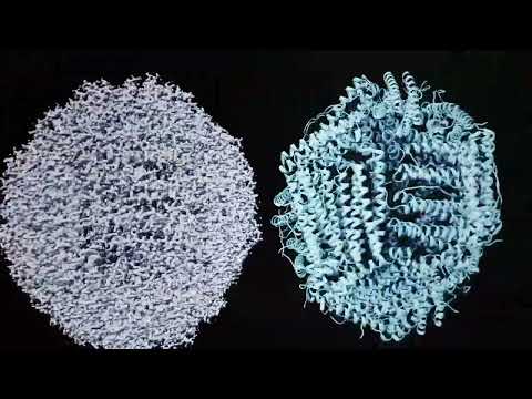 Solving Cryo-EM Noise with GraFuture — ShuimuBio Sciences