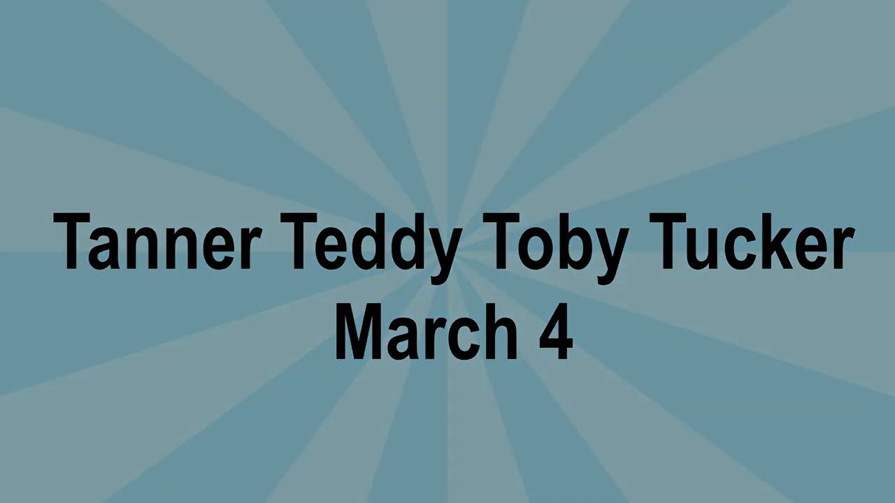 Enlarge Toby, an adopted Golden Retriever in White Plains, NY video 5/5