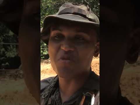 He underestimated the Foreign Legion