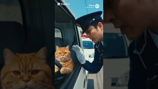警察も困惑した猫の行動がこれ