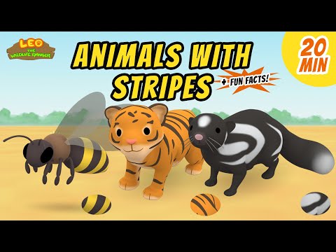 Witness21 Editor  2021 02 05