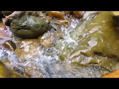 Arroyo Susurrante - Musica Tranquila De Rio Para Relajar
