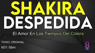 Shakira - Despedida - Karaoke Instrumental