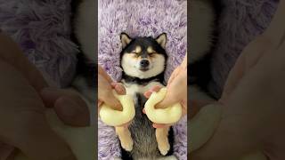 Download lagu Manyu ASMR - Immersive Relaxation SPA | 1-Minute Lite Edition mp3