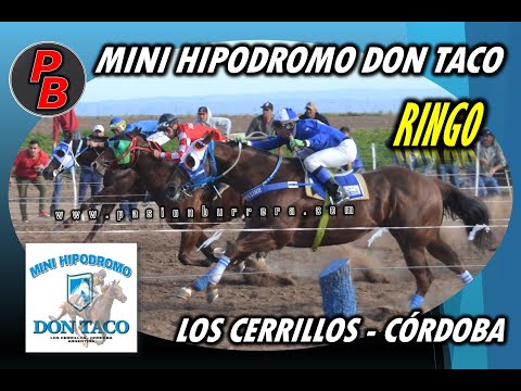 RINGO, MINI HIPODROMO DON TACO - LOS CERRILLOS (19-06-2022)